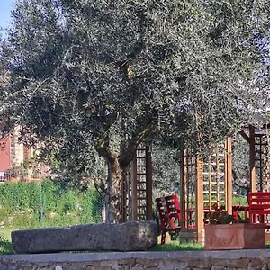 Il Pintello Appartamento